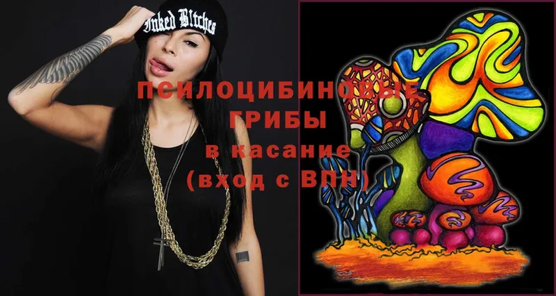 OMG ссылка  Верхний Тагил  Галлюциногенные грибы Magic Shrooms 